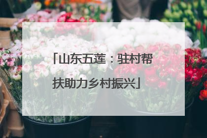 山东五莲：驻村帮扶助力乡村振兴