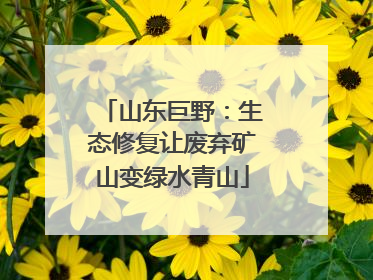 山东巨野：生态修复让废弃矿山变绿水青山