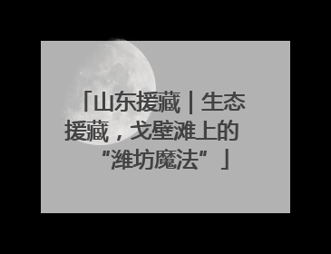 山东援藏｜生态援藏，戈壁滩上的“潍坊魔法”