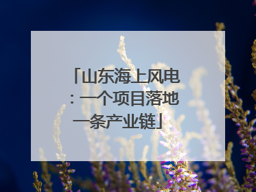 山东海上风电：一个项目落地一条产业链