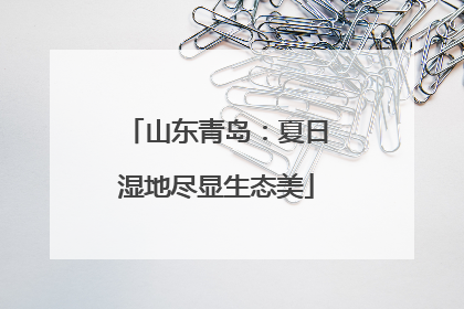 山东青岛：夏日湿地尽显生态美