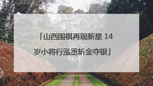 山西围棋再现新星 14岁小将行泓丞斩金夺银