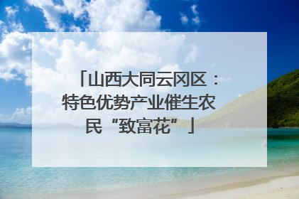 山西大同云冈区：特色优势产业催生农民“致富花”