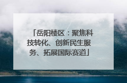 岳阳楼区：聚焦科技转化、创新民生服务、拓展国际赛道