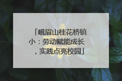 峨眉山桂花桥镇小：劳动赋能成长，实践点亮校园