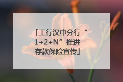 工行汉中分行“1+2+N”推进存款保险宣传