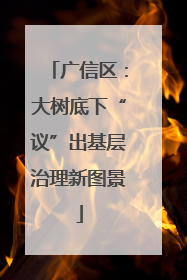 广信区：大树底下“议”出基层治理新图景
