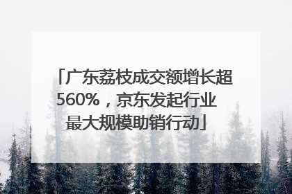 广东荔枝成交额增长超560%，京东发起行业最大规模助销行动