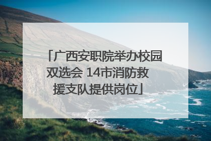 广西安职院举办校园双选会 14市消防救援支队提供岗位