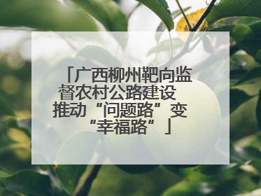 广西柳州靶向监督农村公路建设 推动“问题路”变“幸福路”