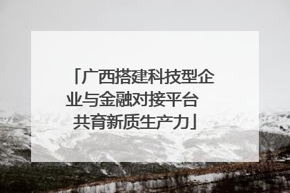 广西搭建科技型企业与金融对接平台 共育新质生产力