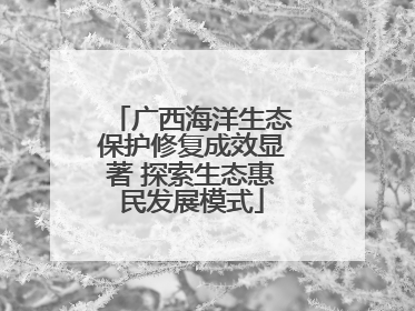广西海洋生态保护修复成效显著 探索生态惠民发展模式