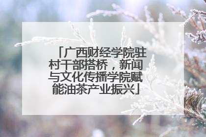 广西财经学院驻村干部搭桥，新闻与文化传播学院赋能油茶产业振兴
