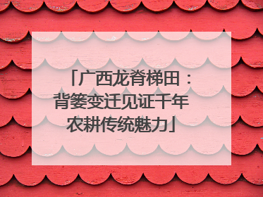 广西龙脊梯田：背篓变迁见证千年农耕传统魅力