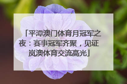 平潭澳门体育月冠军之夜：赛事冠军齐聚，见证岚澳体育交流高光