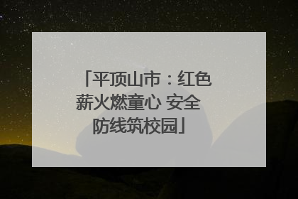 平顶山市：红色薪火燃童心 安全防线筑校园