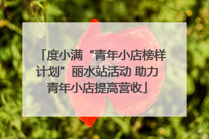 度小满“青年小店榜样计划”丽水站活动 助力青年小店提高营收