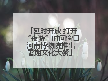 延时开放 打开“夜游”时间窗口 河南博物院推出暑期文化大餐