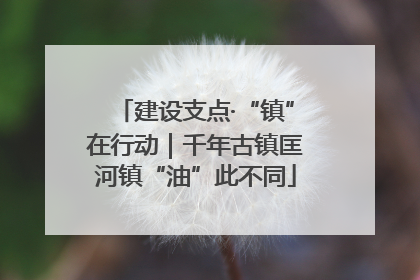 建设支点·“镇”在行动｜千年古镇匡河镇“油”此不同