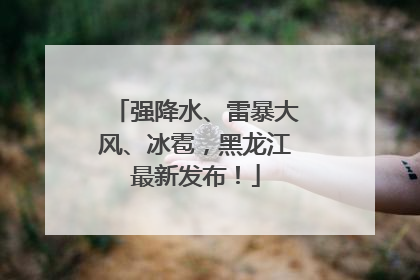 强降水、雷暴大风、冰雹，黑龙江最新发布！