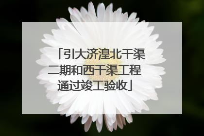 引大济湟北干渠二期和西干渠工程通过竣工验收
