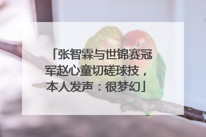 张智霖与世锦赛冠军赵心童切磋球技，本人发声：很梦幻