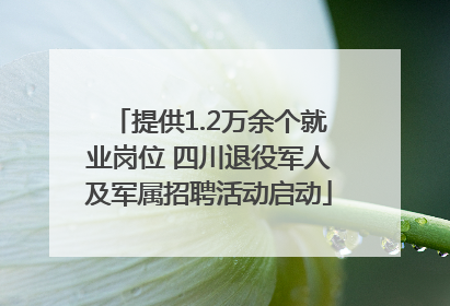 提供1.2万余个就业岗位 四川退役军人及军属招聘活动启动