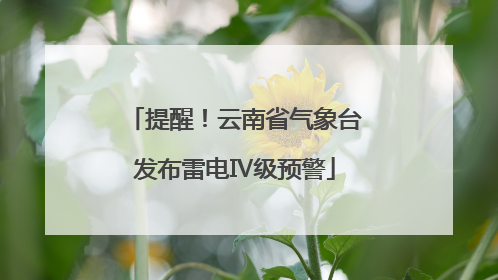 提醒！云南省气象台发布雷电Ⅳ级预警