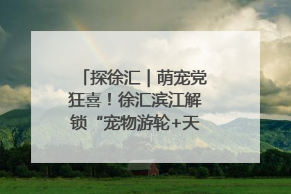 探徐汇｜萌宠党狂喜！徐汇滨江解锁“宠物游轮+天台乐园”双玩法