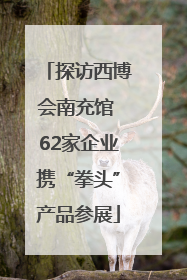 探访西博会南充馆 62家企业携“拳头”产品参展