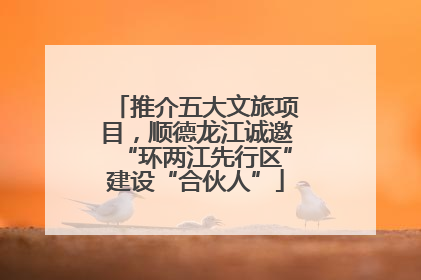 推介五大文旅项目，顺德龙江诚邀“环两江先行区”建设“合伙人”