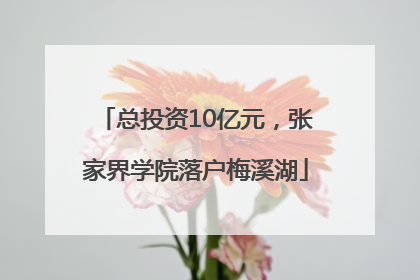 总投资10亿元，张家界学院落户梅溪湖