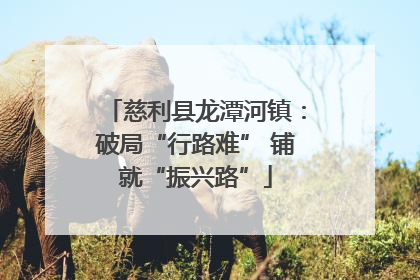 慈利县龙潭河镇：破局“行路难” 铺就“振兴路”