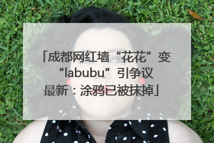 成都网红墙“花花”变“labubu”引争议 最新：涂鸦已被抹掉