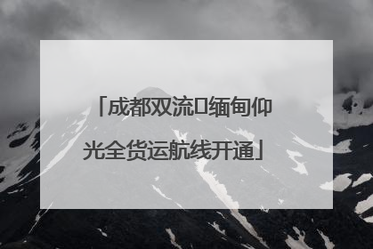 成都双流⇌缅甸仰光全货运航线开通