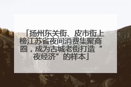 扬州东关街、皮市街上榜江苏省夜间消费集聚商圈，成为古城老街打造“夜经济”的样本