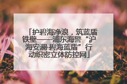 护碧海净浪，筑蓝盾铁壁——浦东海警“沪海安澜·碧海蓝盾”行动织密立体防控网