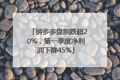 拼多多盘前跌超20%，第一季度净利润下降45%