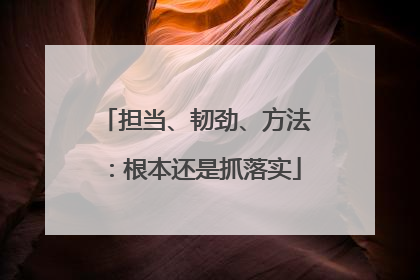 担当、韧劲、方法：根本还是抓落实