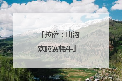 拉萨：山沟欢腾赛牦牛