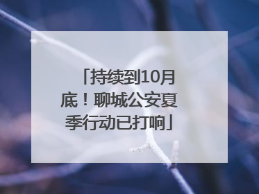 持续到10月底！聊城公安夏季行动已打响