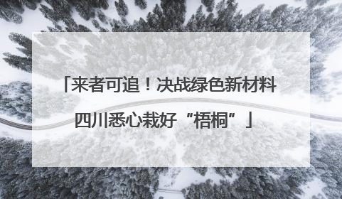 来者可追！决战绿色新材料 四川悉心栽好“梧桐”