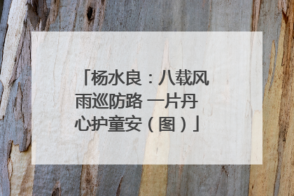 杨水良：八载风雨巡防路 一片丹心护童安（图）