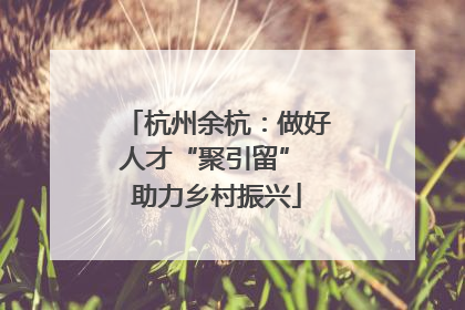 杭州余杭：做好人才“聚引留” 助力乡村振兴