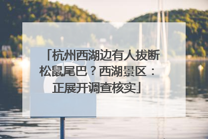 杭州西湖边有人拔断松鼠尾巴？西湖景区：正展开调查核实