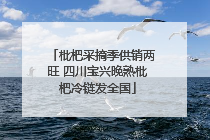 枇杷采摘季供销两旺 四川宝兴晚熟枇杷冷链发全国