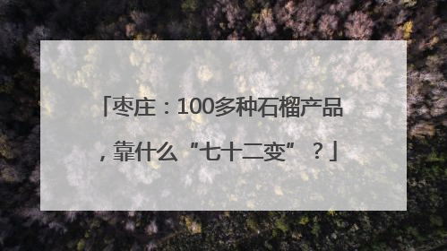 枣庄：100多种石榴产品，靠什么“七十二变”？