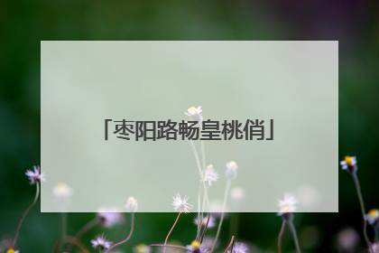 枣阳路畅皇桃俏