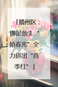 播州区：铆足劲头“抢春光”全力拼出“首季红”