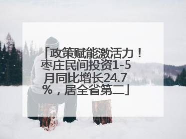 政策赋能激活力！枣庄民间投资1-5月同比增长24.7%，居全省第二